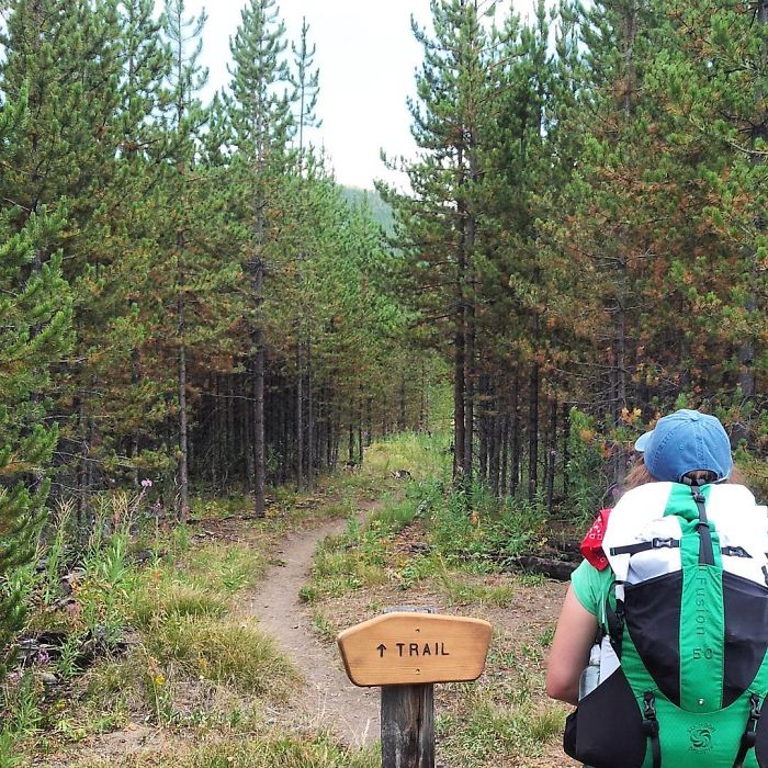 Funny-captain-obvious-signs