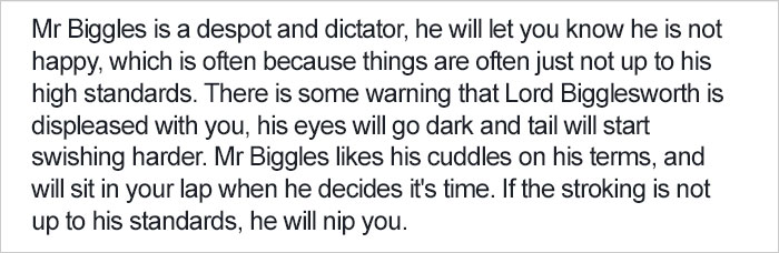 Shelter Writes Brutally Honest Adoption Memo For Their 'Utter Bastard Of A Cat'