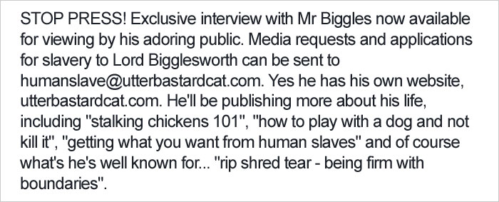 Shelter Writes Brutally Honest Adoption Memo For Their 'Utter Bastard Of A Cat'