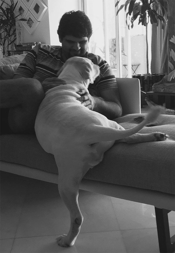 My Dog Is Not Allowed On Sofa, & She Thinks She Is Following The Rules