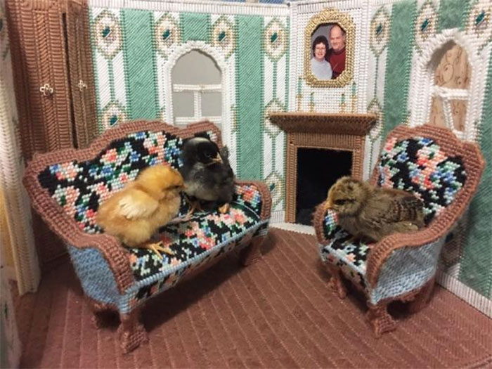 92 Times Moms Made Us Laugh By Doing The Mommiest Things Ever