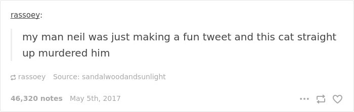 Neil deGrasse Tyson Tries To Make Fun Of Cats On Twitter, Gets Totally Destroyed By One Neil deGrasse Tyson Tries To Make Fun Of Cats On Twitter, Gets Totally Destroyed By One