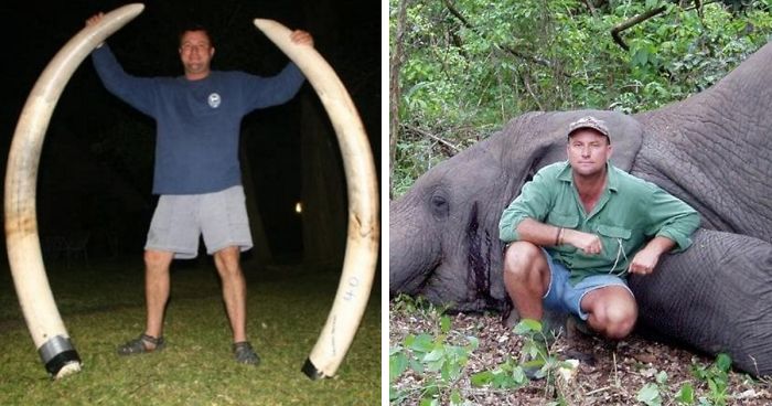 Elephant Just Killed Big Game Hunter During His Hunt In Africa