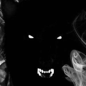 maribeltenorio avatar