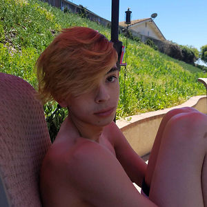 bravewolf18081 avatar