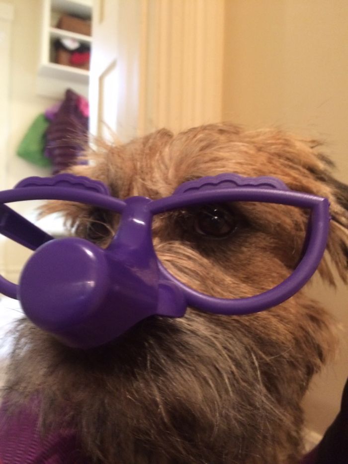 When You're Partner Becomes A Child Again.