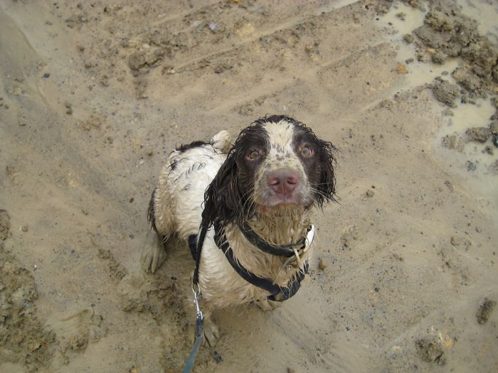 I Got In Trouble For This. Not Him. How Unfair Is That.