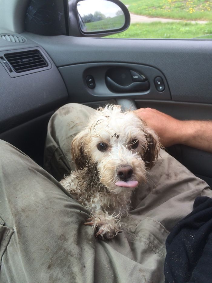 After A Walk In The Woods.