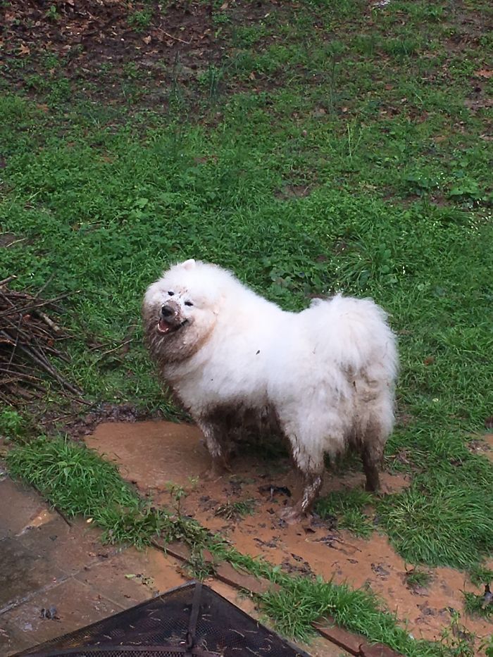 He Was So Happy I Had To Let Him Keep Playing