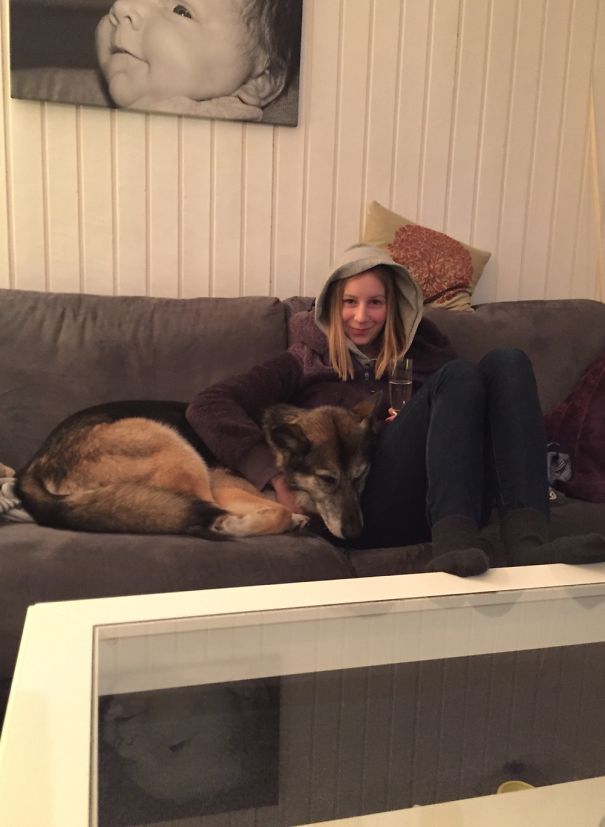 My Mom's Dog Being Scared On New Years (usually Not Allowed On The Sofa) Bless Her...