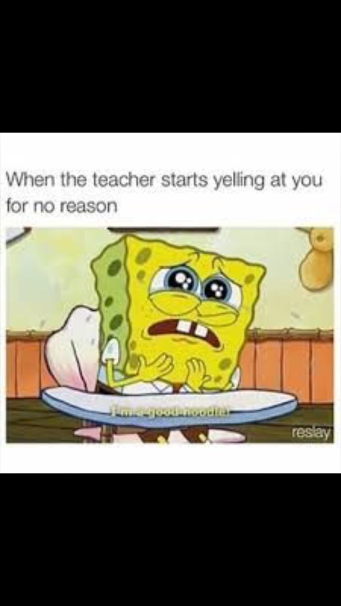 Memes Only People Who Are In School Will Understand