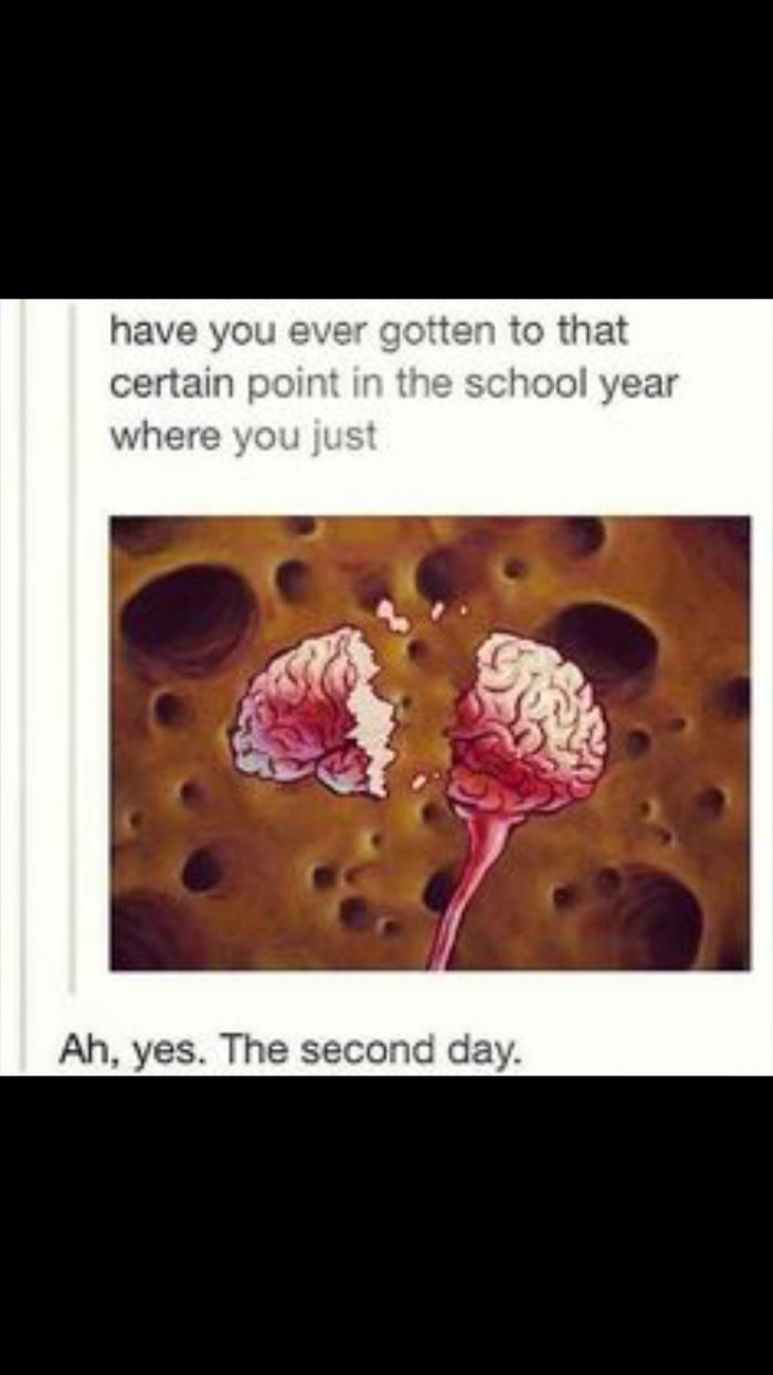 Memes Only People Who Are In School Will Understand