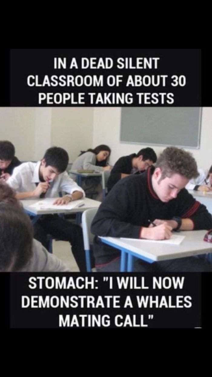 Memes Only People Who Are In School Will Understand