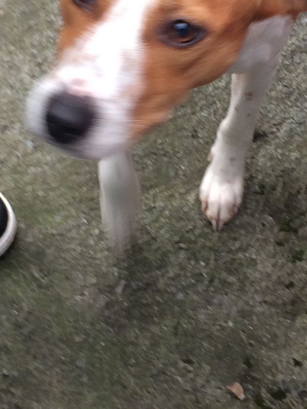 Scared Of Staying Still For A Picture