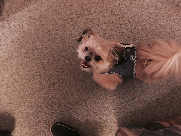 I Am Allowed All Over The House, Even Where My Mom And Dad Don't Fit.