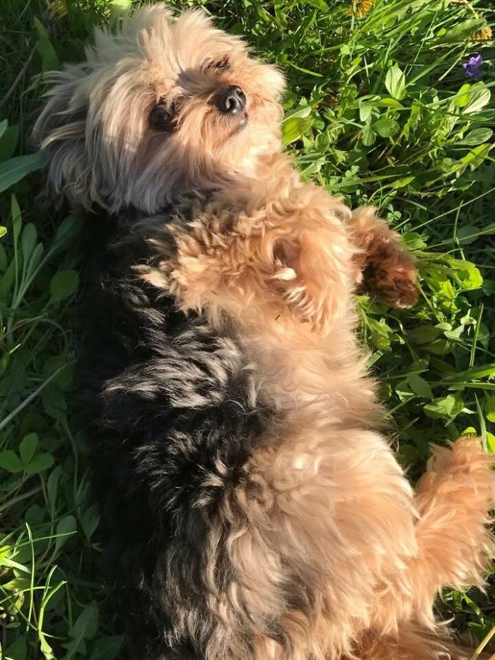 I Take Photos Of Animals Using Only An Iphone Camera