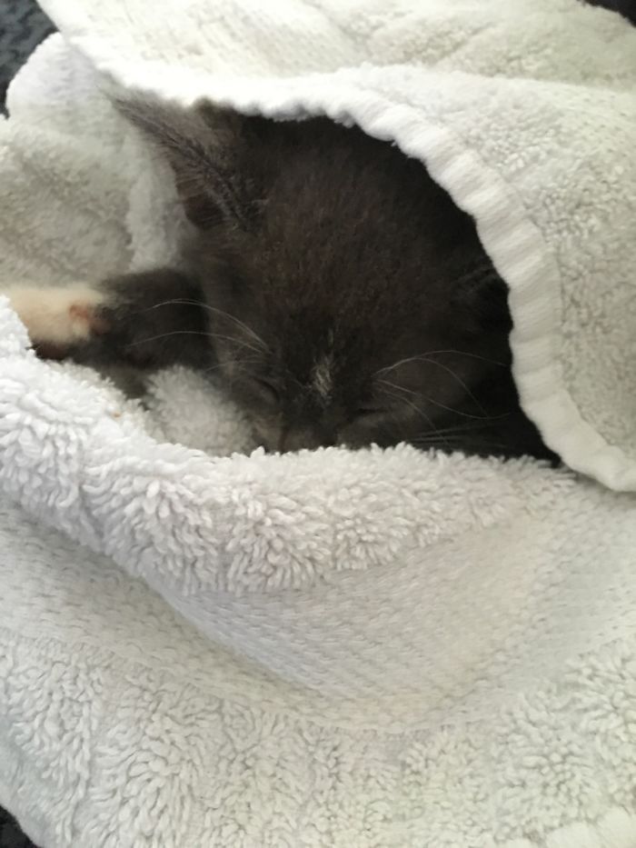 Grady's Baby Pictures