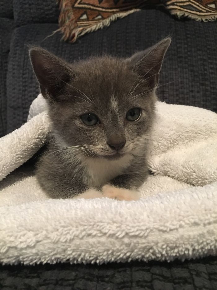 Grady’s Baby Pictures