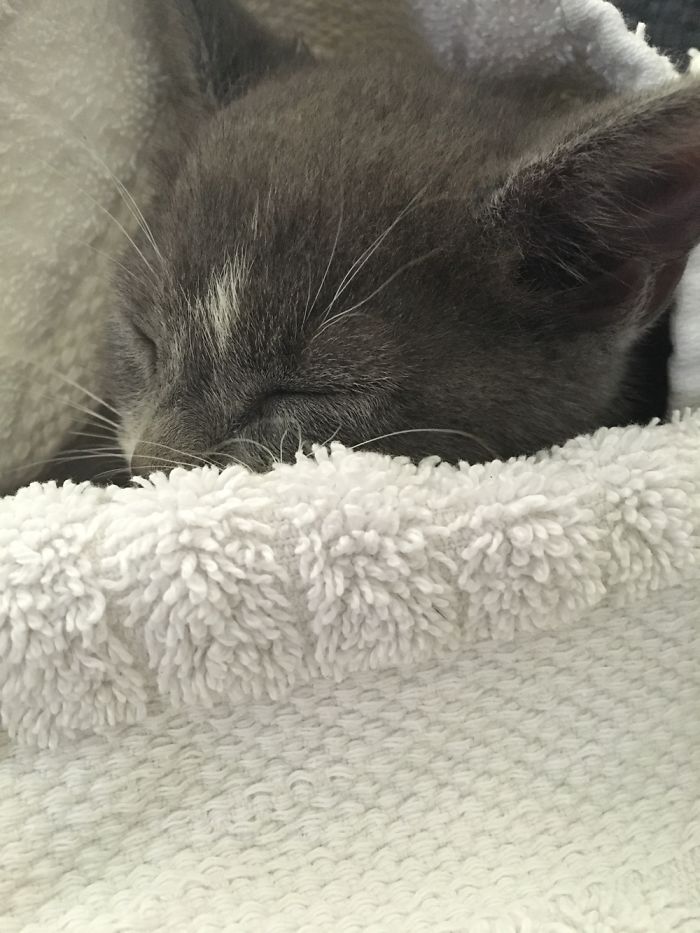 Grady's Baby Pictures