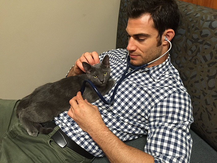 Looking For A Job? This Company Will Pay You For Cuddling With Kittens All Day Long