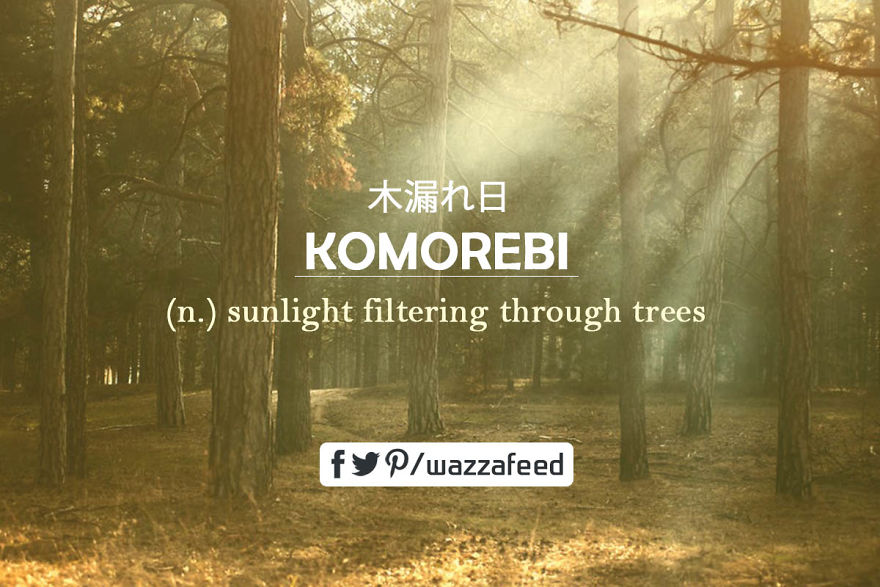 11 Beautiful Japanese Words With No Direct English Translation