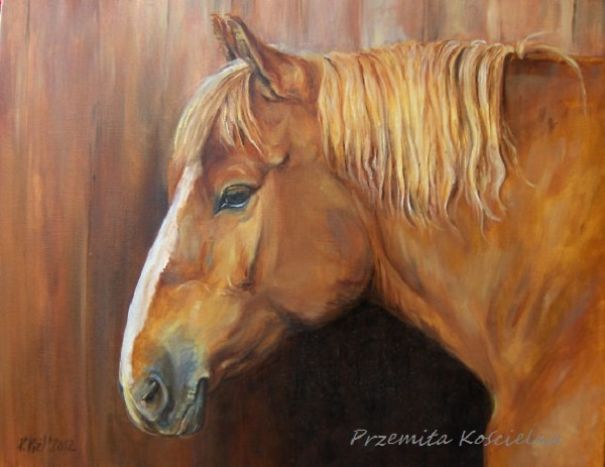 My Equestrian Art