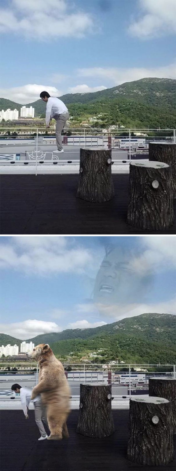 Please Add A Bear Or Something