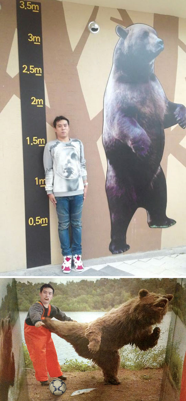 I Need To Be Taller Than The Bear