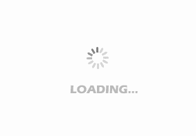 loading-592639194cb00.gif