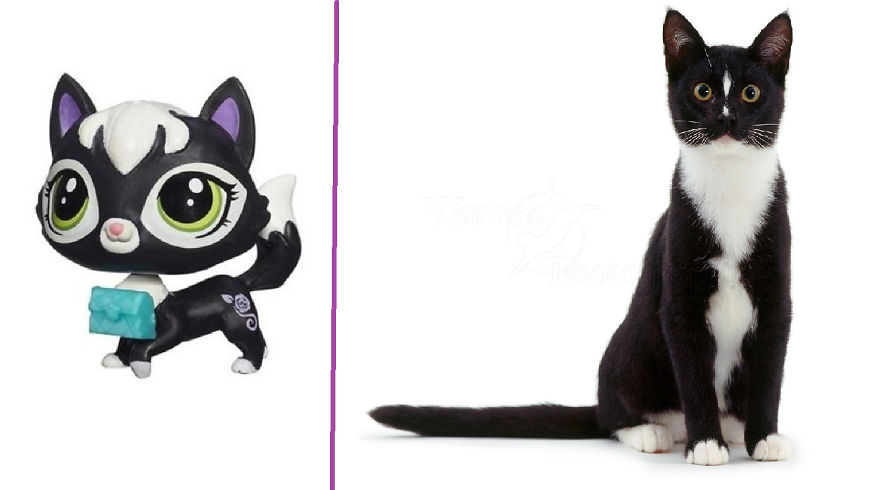 I Made Few Pictures Of Lps "In Real Life" Here They Are:
