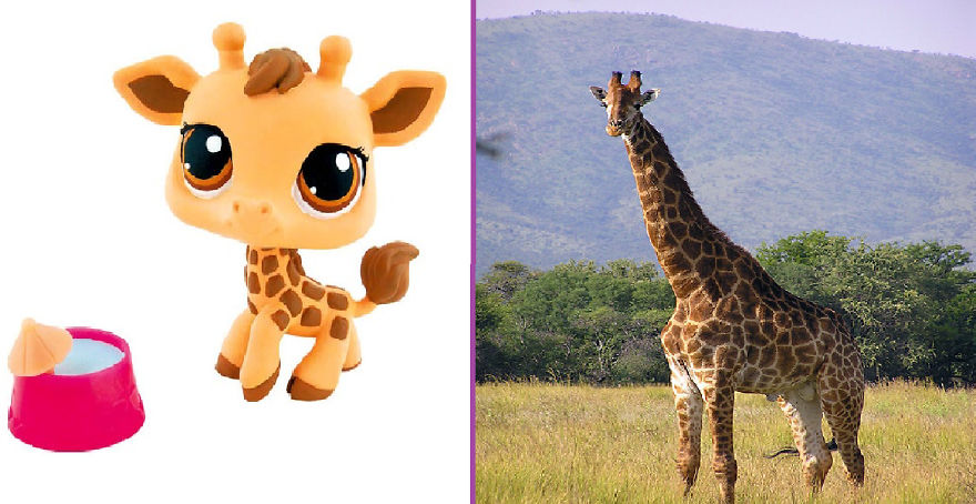 I Made Few Pictures Of Lps "In Real Life" Here They Are: