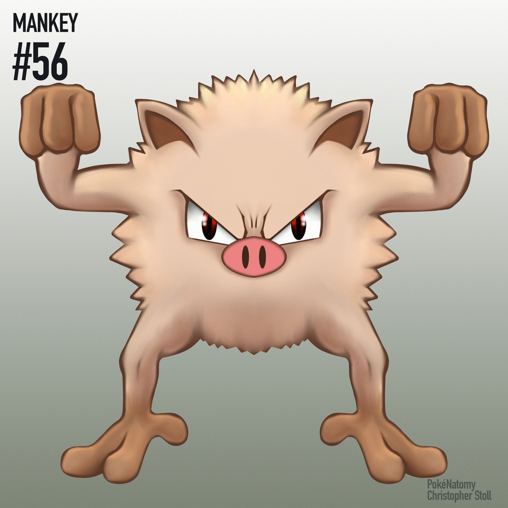 Educational Gifs Detail The Incredible Internal Anatomy Of Pokémon!