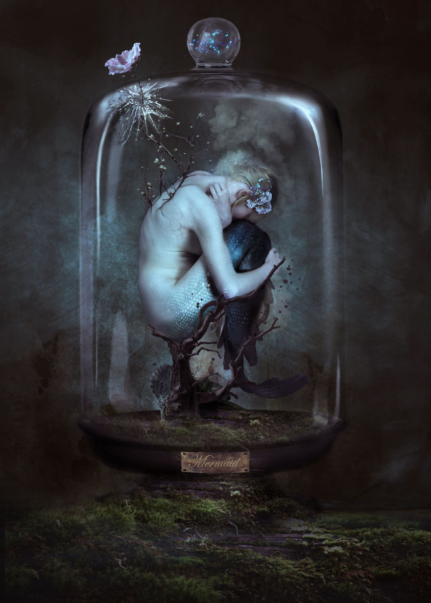 I Create My Own Stunning Cabinet Of Curiosities I Create My Own Stunning Cabinet Of Curiosities