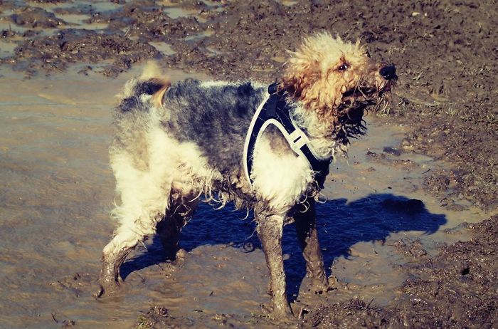 Messi - Poland, Poznan