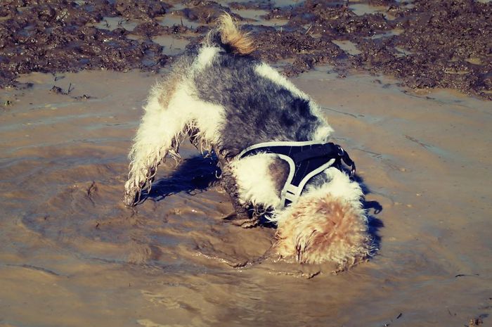 Messi - Poland, Poznan