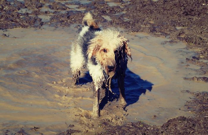 Messi - Poland, Poznan