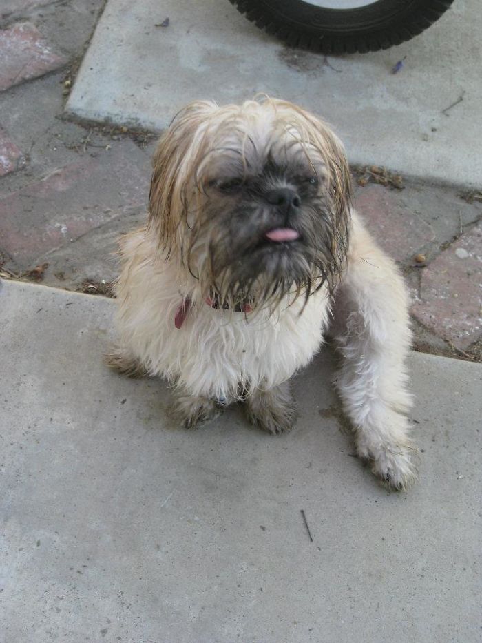 "that Will Teach You To Give Me A Bath"