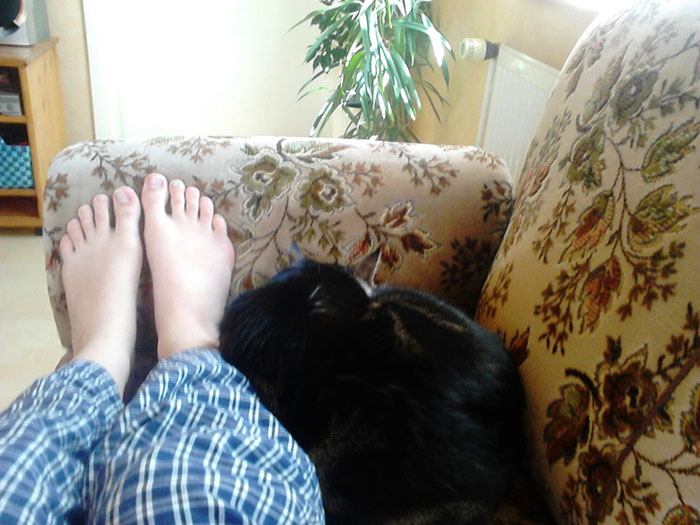 Also, Woke Up To Find This. I Don’t Own A Cat