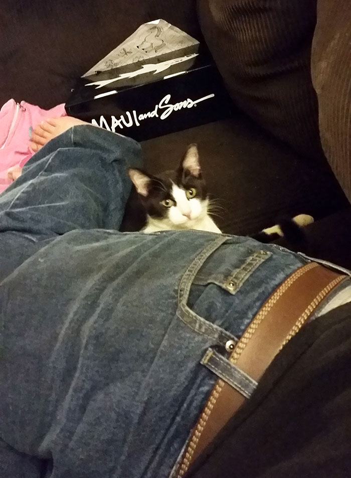 Left My Door Open And Fell Asleep. This Is What I Woke Up To. I Don't Own A Cat