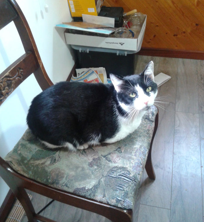 I Opened My Door For One Minute And This Guy Barged In