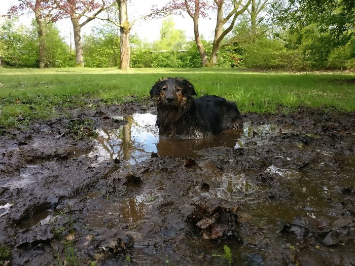 I Don't Regret Anything!