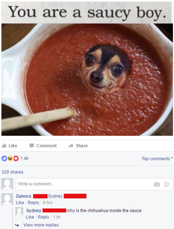 Sydney Doesn't Understand What That Dog Is Doing