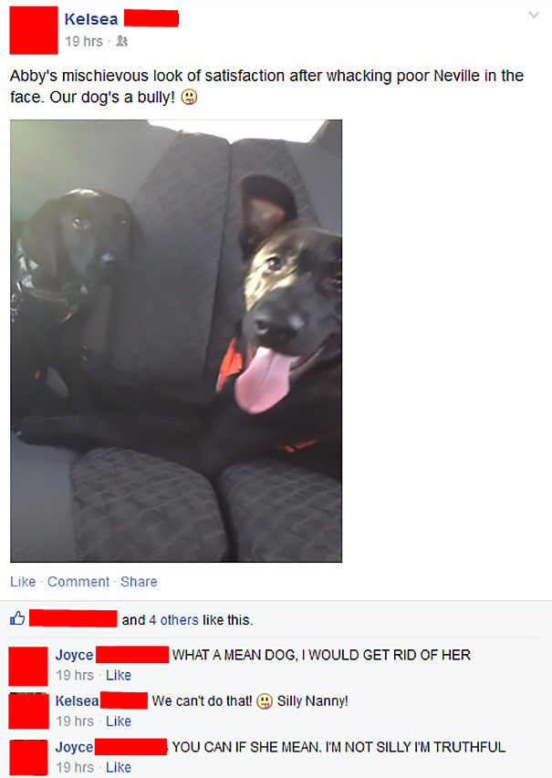 I'm Not Silly I'm Truthful