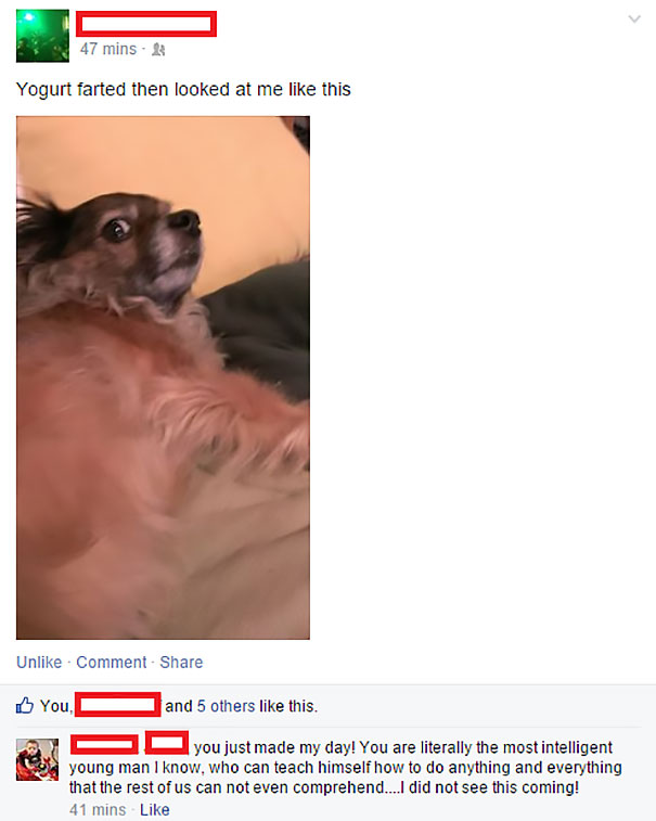 The Most Intelligent Young Man