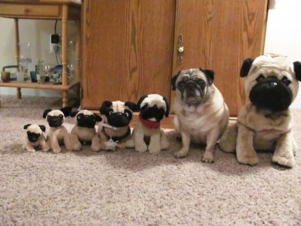 One Of These Things Is Not Like The Others, One Of These Things Just Doesn't Belong