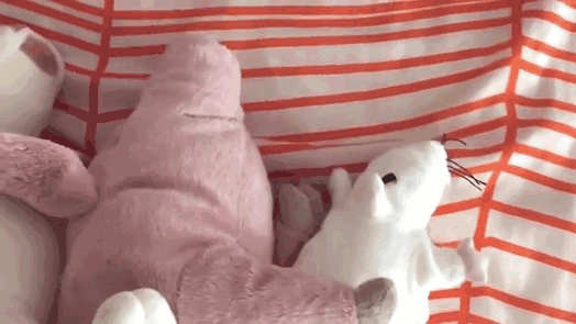 One Of These Is Not Like The Others