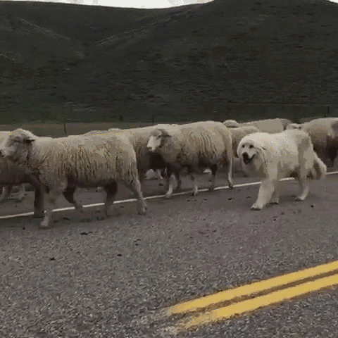 One Of These Is Not Like The Other