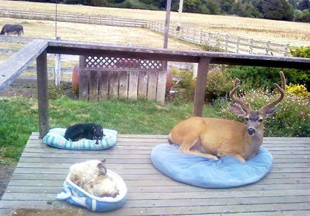 One Of These Things Is Not Like The Other