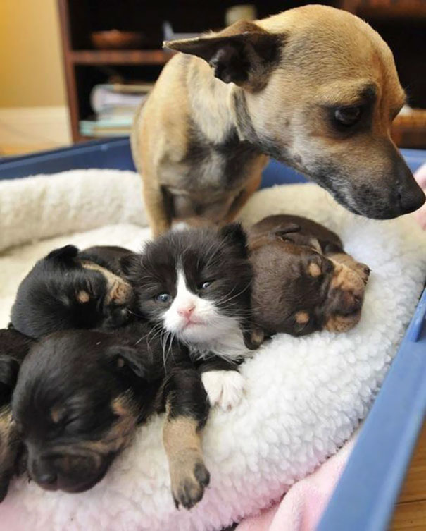 One Of Them Is Not Like The Other