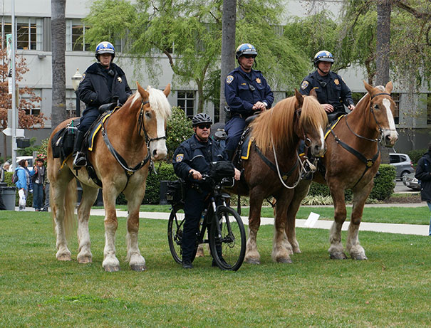 Someone Didn't Get The Memo